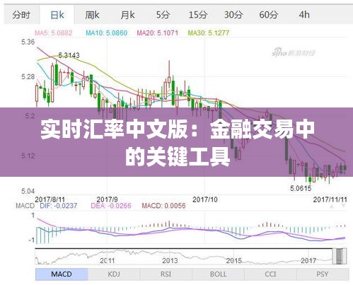 实时汇率中文版：金融交易中的关键工具