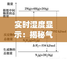 实时湿度显示：揭秘气象信息中的关键指标
