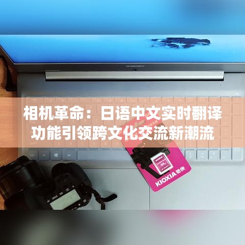 雍容华贵 第2页