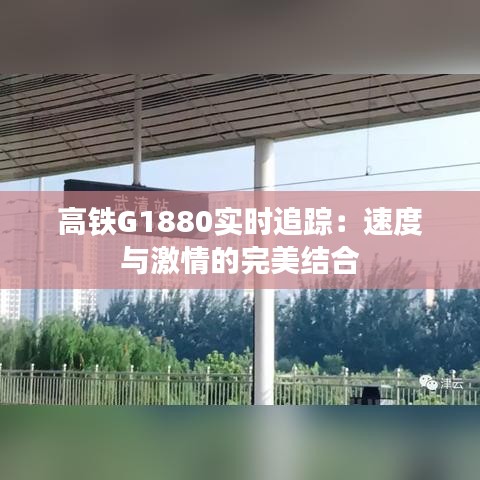 打张鸡儿 第2页