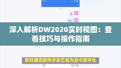 深入解析DW2020实时视图：查看技巧与操作指南