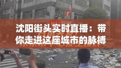 沈阳街头实时直播：带你走进这座城市的脉搏