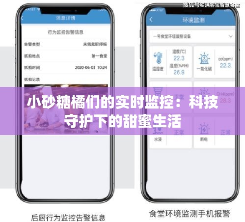小砂糖橘们的实时监控：科技守护下的甜蜜生活