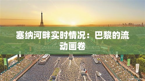 塞纳河畔实时情况：巴黎的流动画卷