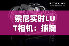 芳兰竟体 第2页