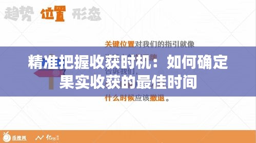 精准把握收获时机：如何确定果实收获的最佳时间
