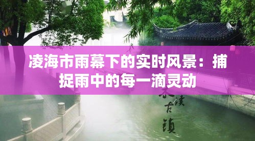 凌海市雨幕下的实时风景：捕捉雨中的每一滴灵动