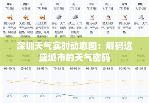 深圳天气实时动态图：解码这座城市的天气密码