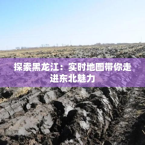将机就机 第2页