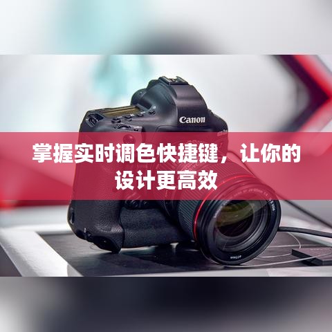 蚕丛鸟道 第2页