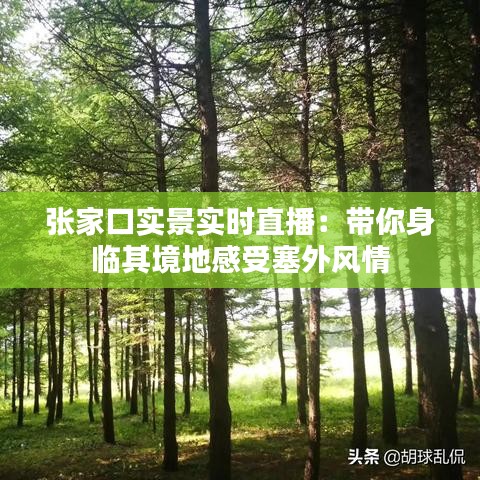 博古通今 第3页