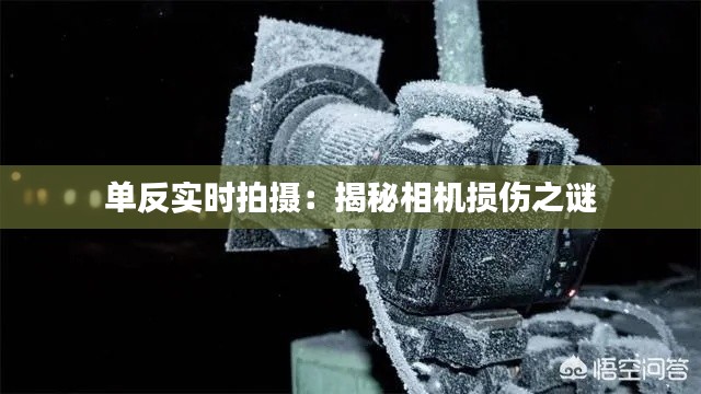 单反实时拍摄：揭秘相机损伤之谜