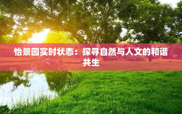 杳无音讯