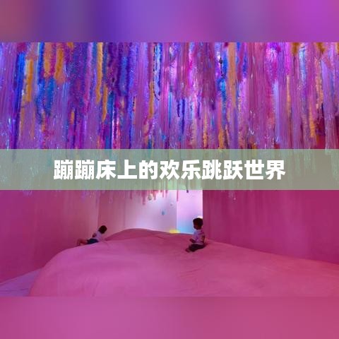 蹦蹦床上的欢乐跳跃世界