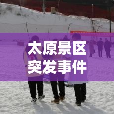 虫言鸟迹 第2页