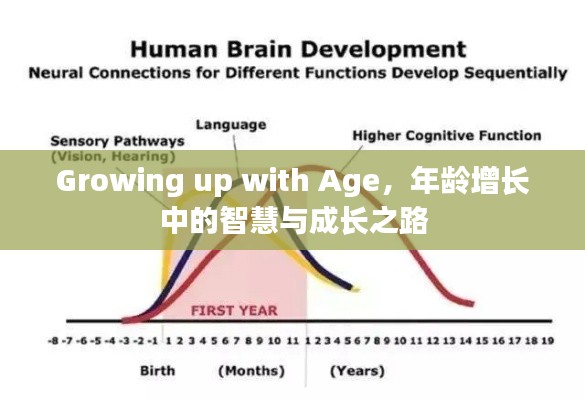 急就章 第2页