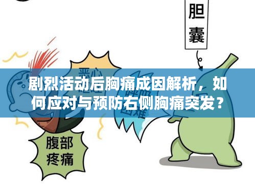 剧烈活动后胸痛成因解析，如何应对与预防右侧胸痛突发？