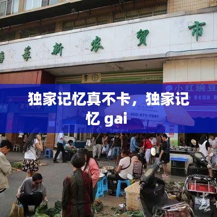 公司介绍 第109页