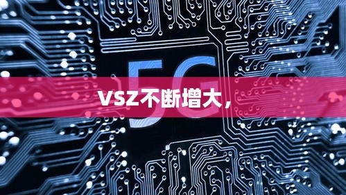 VSZ不断增大， 