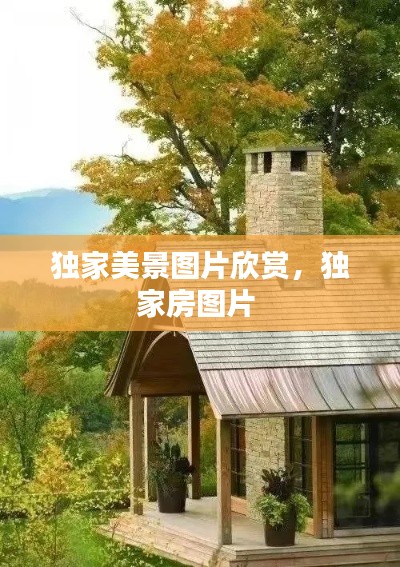 踊贵屦贱 第2页