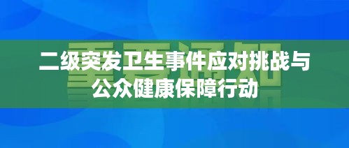 二级突发卫生事件应对挑战与公众健康保障行动