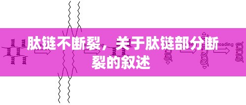 肽链不断裂，关于肽链部分断裂的叙述 