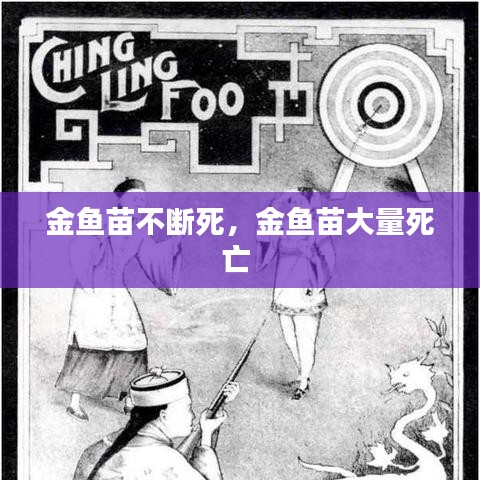 纲挈目张 第2页