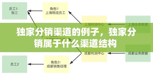 独家分销渠道的例子，独家分销属于什么渠道结构 