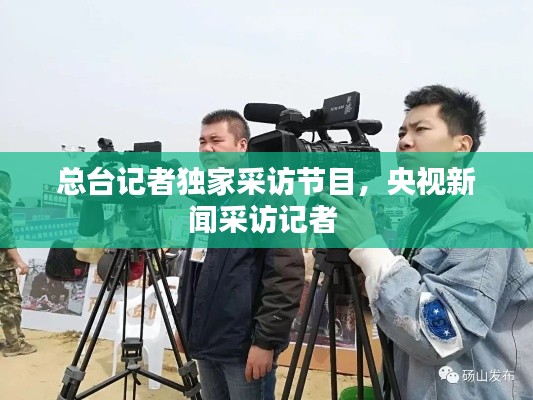 避凶就吉 第2页