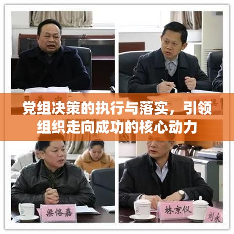 党组决策的执行与落实，引领组织走向成功的核心动力