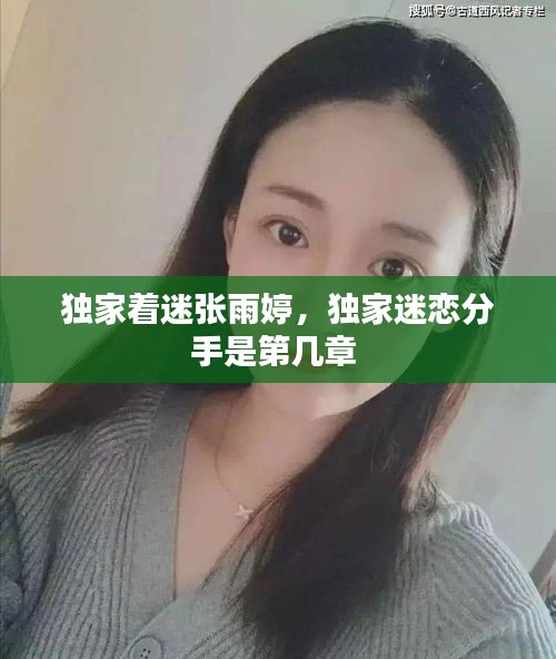 独家着迷张雨婷，独家迷恋分手是第几章 