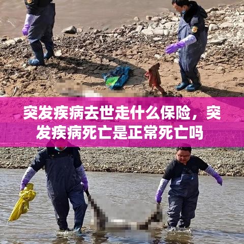 突发疾病去世走什么保险，突发疾病死亡是正常死亡吗 