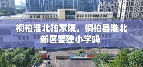 桐柏淮北独家院，桐柏县淮北新区要建小学吗 
