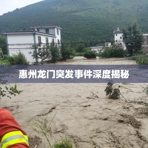 惠州龙门突发事件深度揭秘