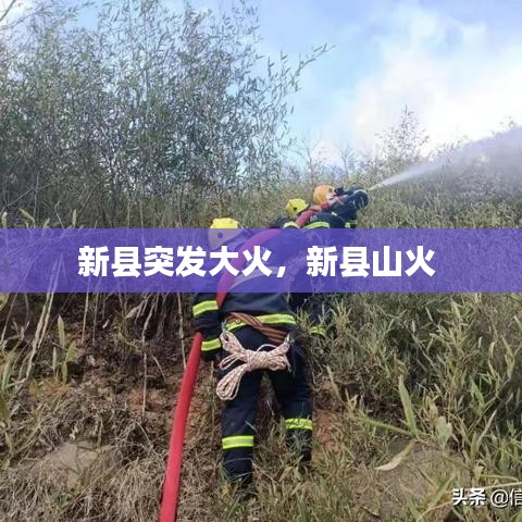 新县突发大火，新县山火 