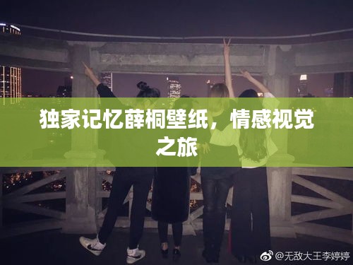 独家记忆薛桐壁纸，情感视觉之旅