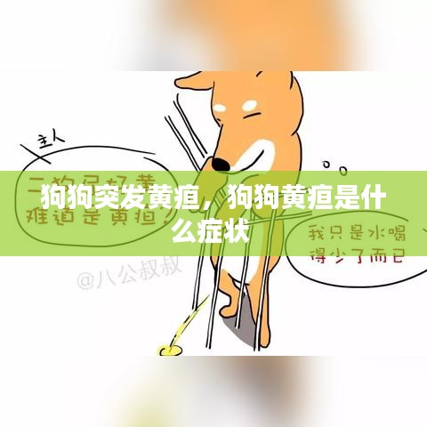 狗狗突发黄疸，狗狗黄疸是什么症状 