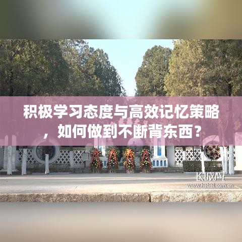 祖道供张 第2页