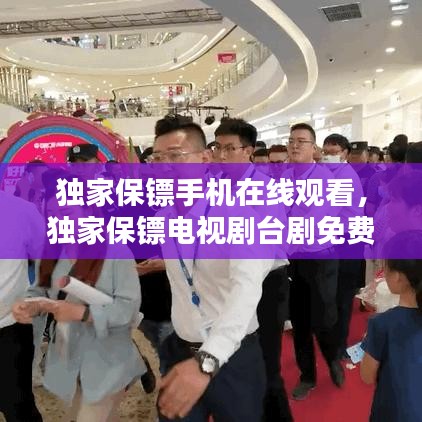独家保镖手机在线观看，独家保镖电视剧台剧免费观看 
