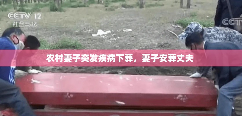 鸟革翬飞 第2页