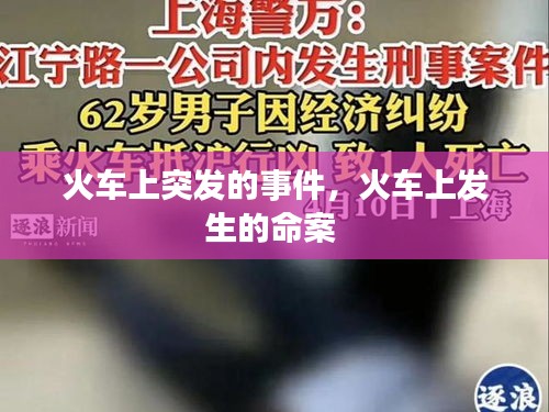 一丝不苟 第2页
