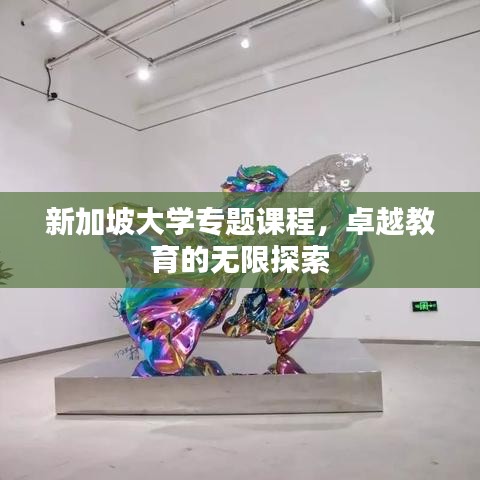 新加坡大学专题课程，卓越教育的无限探索