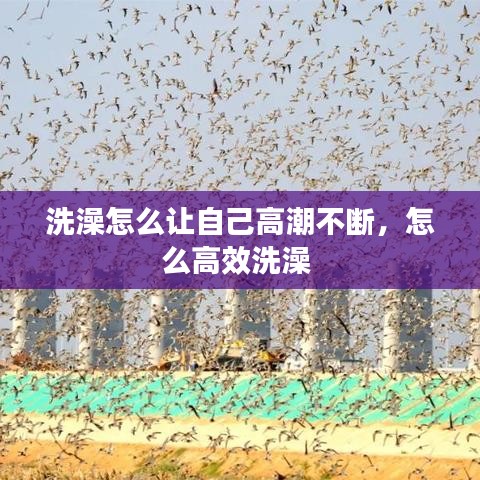 越鸟南栖 第2页