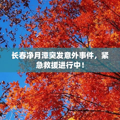 长春净月潭突发意外事件，紧急救援进行中！