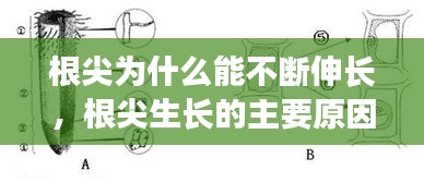 人贵自立 第2页