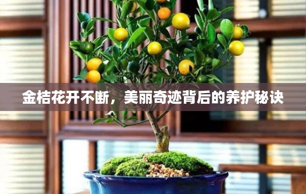 草率收兵 第2页