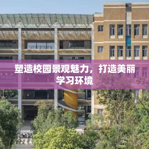 塑造校园景观魅力，打造美丽学习环境