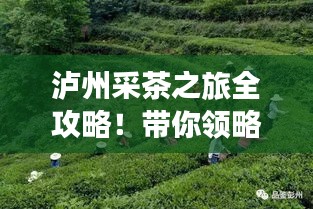 夫妻本是同 第2页