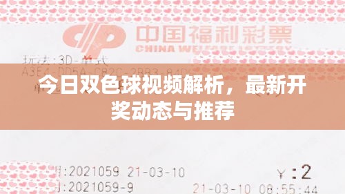 今日双色球视频解析，最新开奖动态与推荐