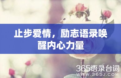 临危不惧 第2页